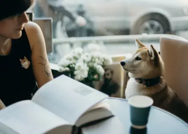 „Nie tylko Lassie…Psie motywy w literaturze” - wystawa w Bibliotece Neofilologicznej