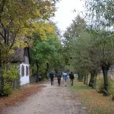 Wieś rzędówka w skansenie.