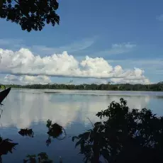 Realizacja grantu Polonez 1.
